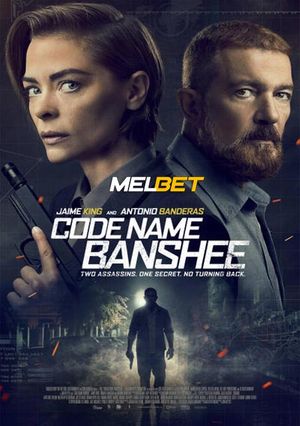 Code Name Banshee (2022) 720P Web-Hd [Hindi (Voice Over) + English]