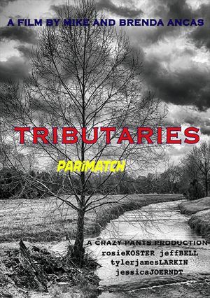 Tributaries (2021) 720P Web-Hdrip [Hindi (Voice Over) + English]