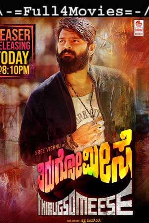 Muthippara Meesam (2019) 1080P | 720P | 480P Web-Hdrip [Telugu (Ddp5.1)]